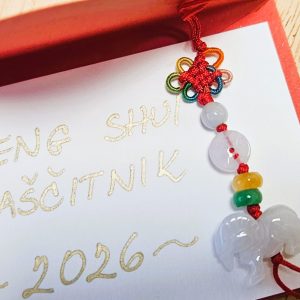 Koza- zaščitnik v letu ognjenega Konja